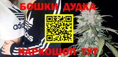гидра Ливны